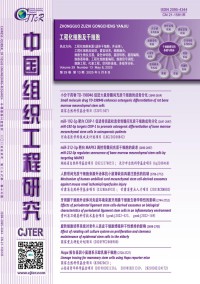 现代康复